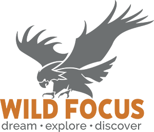 Wild Focus Safaris