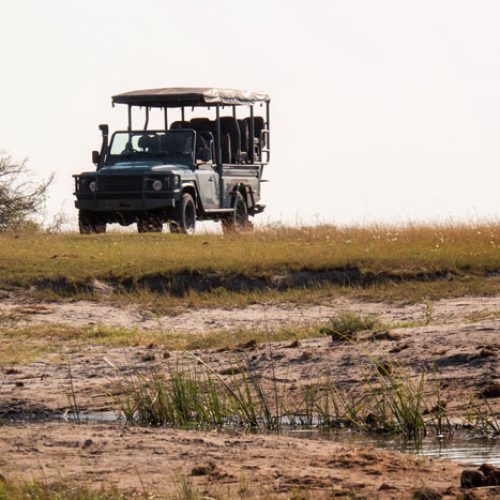 wild-focus-safaris_safari_vehicle_lf_botswana_S2